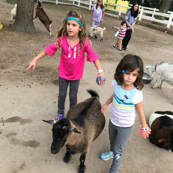 LYNN - MEET YOUR POSHER - Picture 6 of 13